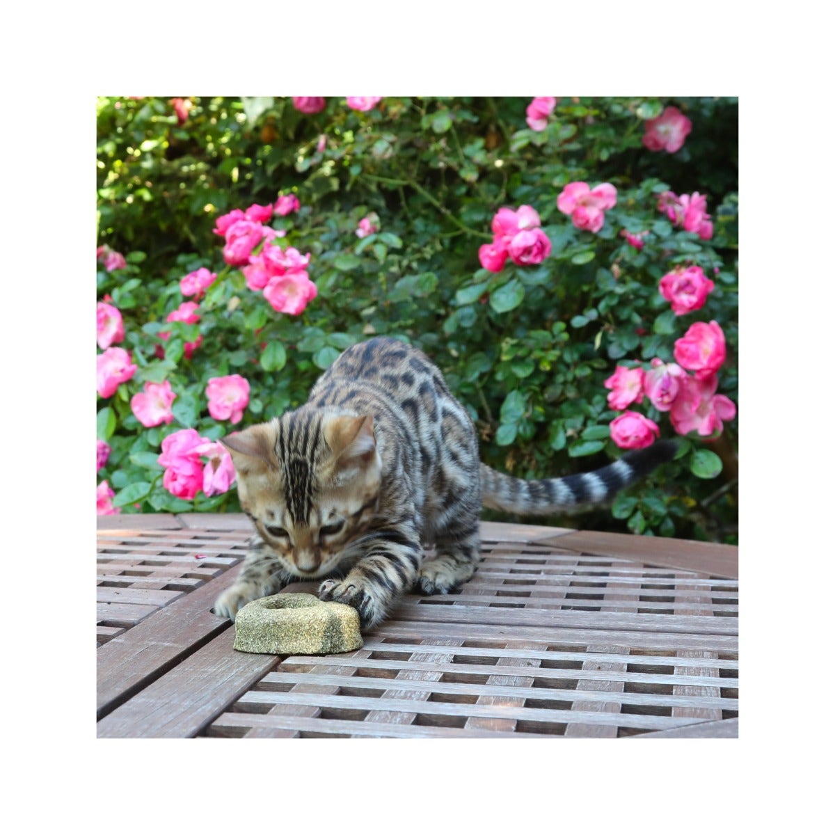 Croci Euphoria Cuore Con Catnip Gioco Per Gatti 7cm-3