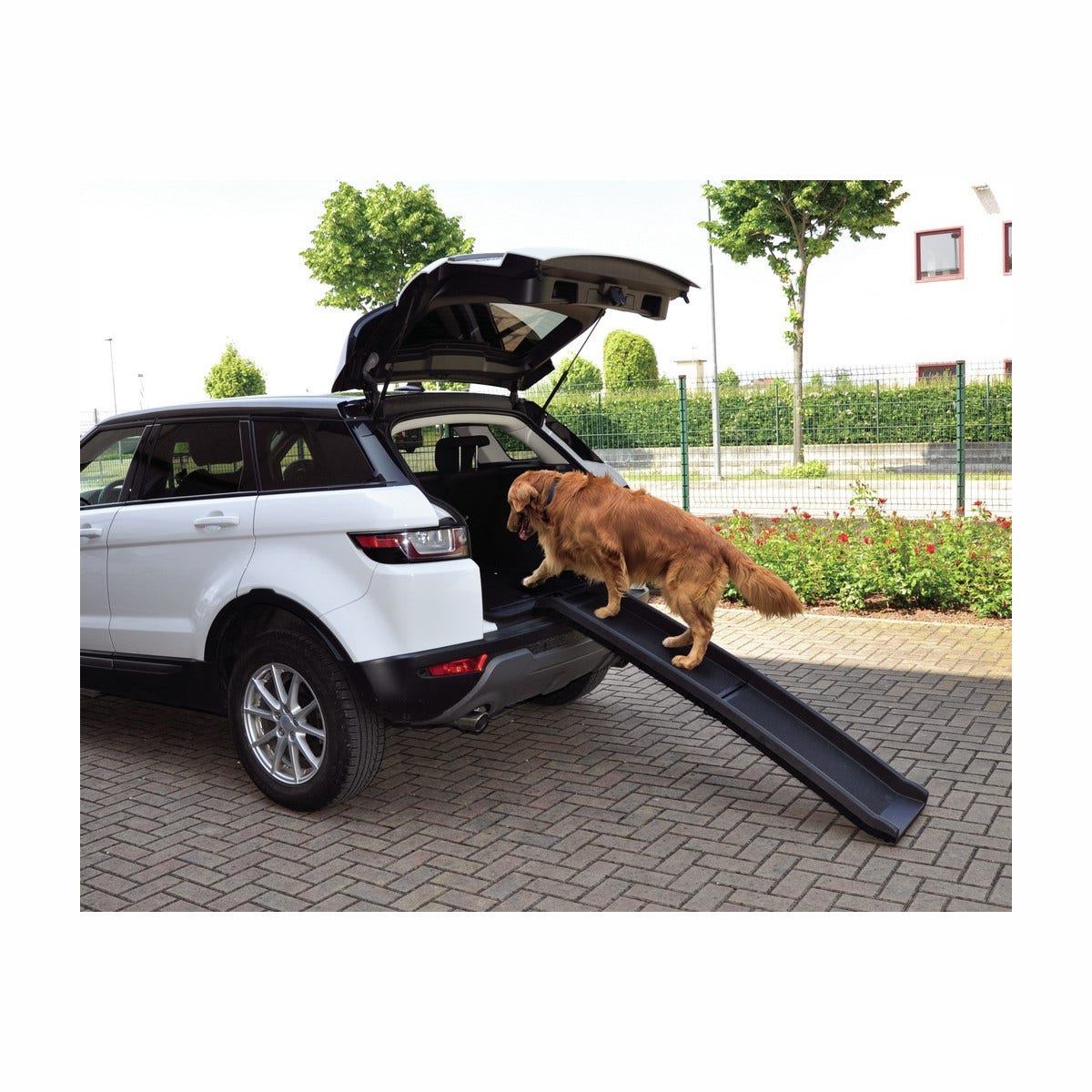 Camon Walky Ramp Rampa In Plastica Per Cani-2