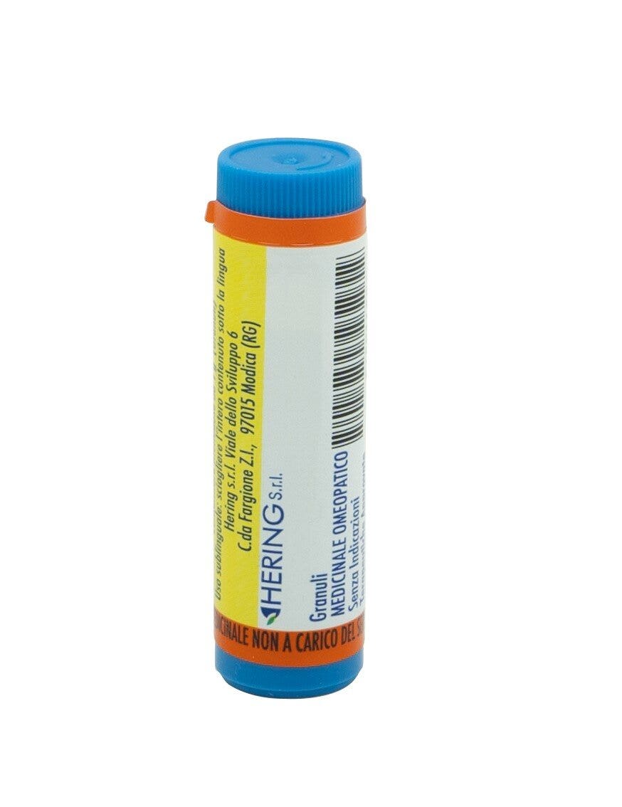ARNICA MONTANA*1000CH GL 1G-1