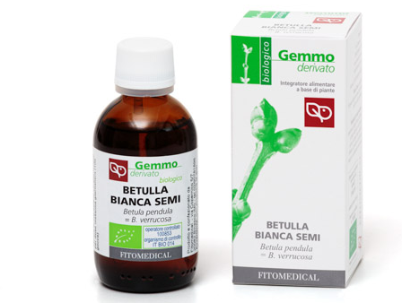 Betulla Verrucosa Semi 50ml   - 2