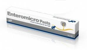 Enteromicro Pasta 15ml  - 1