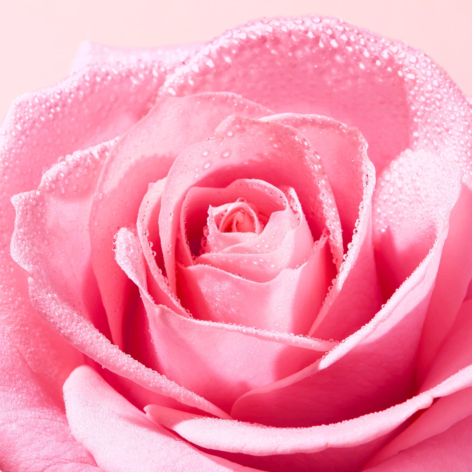 Nuxe Very Rose Tonico Spray Fresco 200ml  - 6