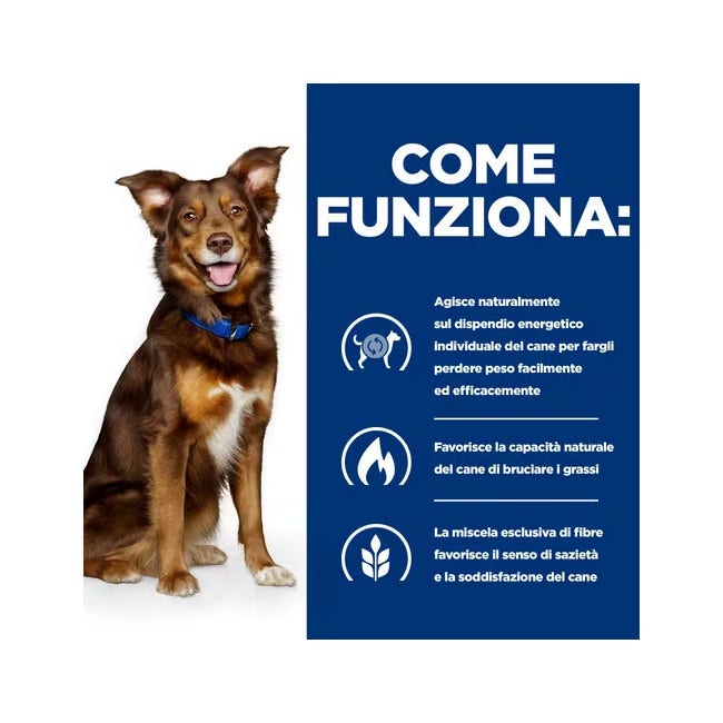 Hill's Prescription Diet Metabolic Spezzatino Per Cani 345g-3