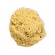 Spugna Naturale Fori Larghi 8/9cm 1 Pezzo-2
