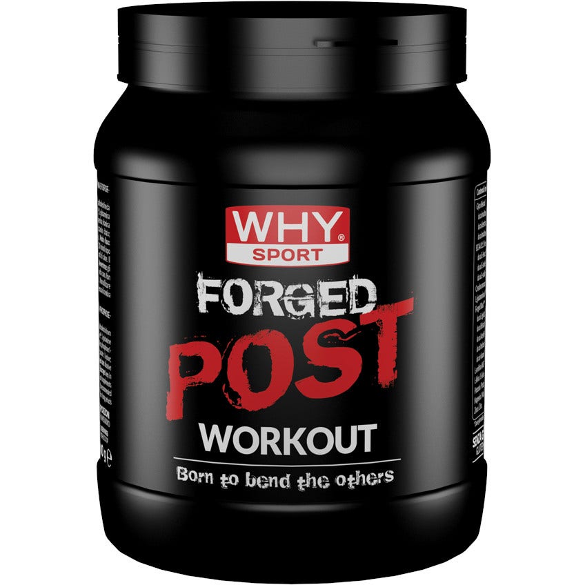 Why Sport Forged Post Workout Frutti Tropicali 600g  - 1