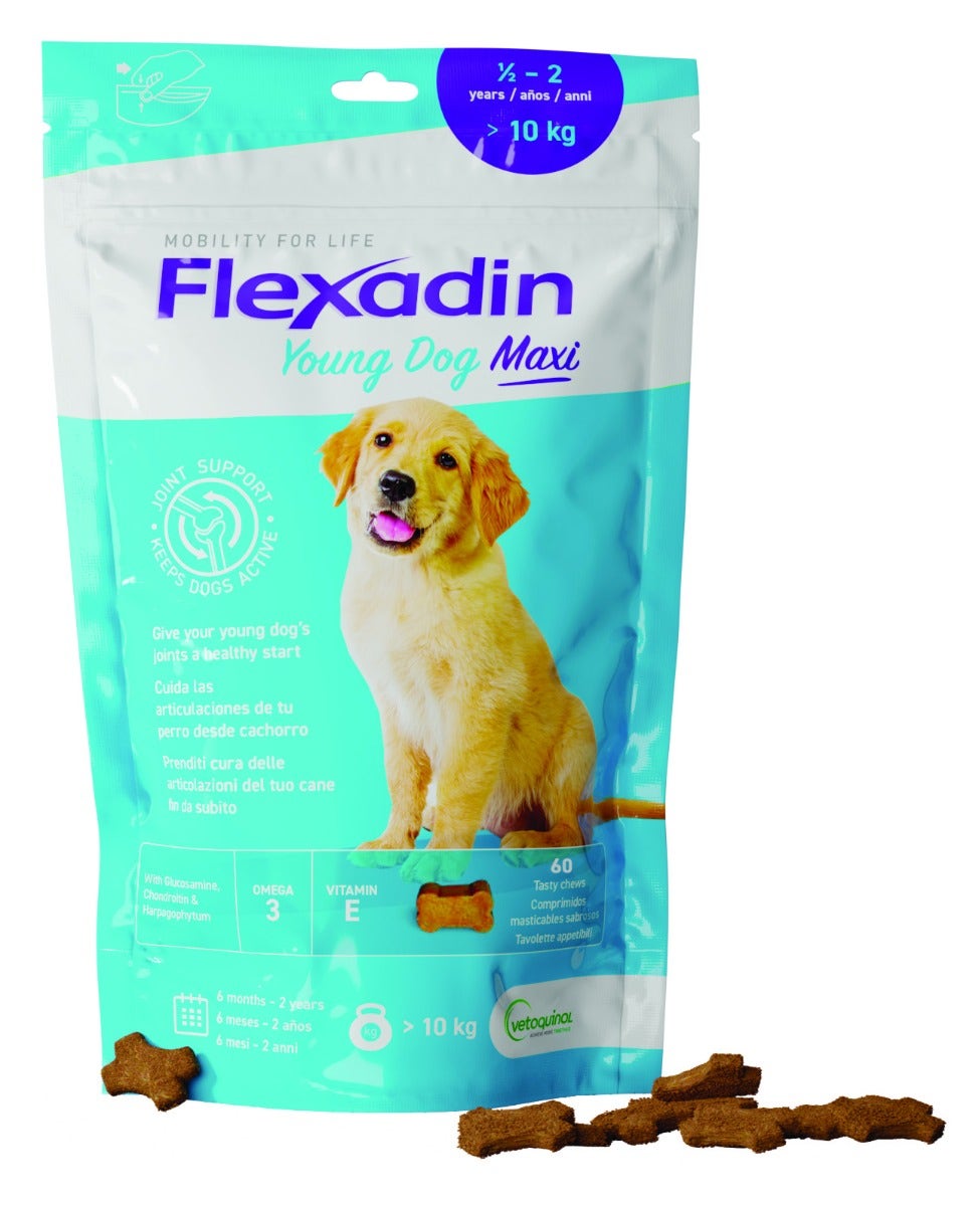 Flexadin Young Mangime Complementare Articolazioni Cani Giovani Taglia Grande 60 Tavolette-3